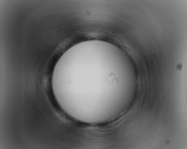 X0000103420408200809121017