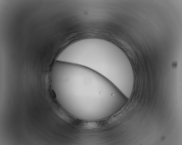 X0000103420409200809121017