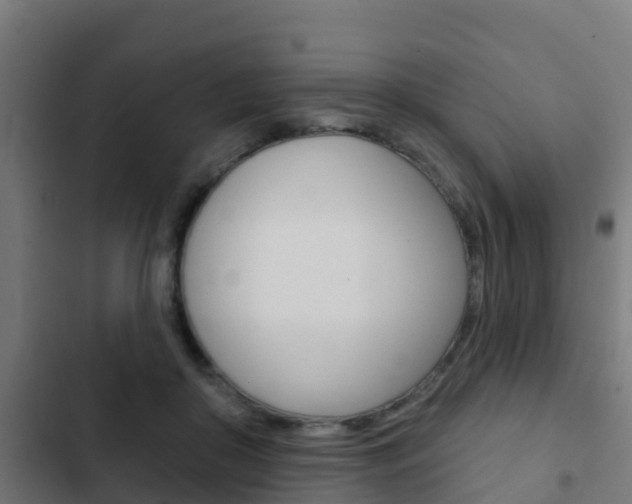 X0000103420410200809121017
