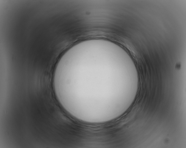 X0000103420411200809121017