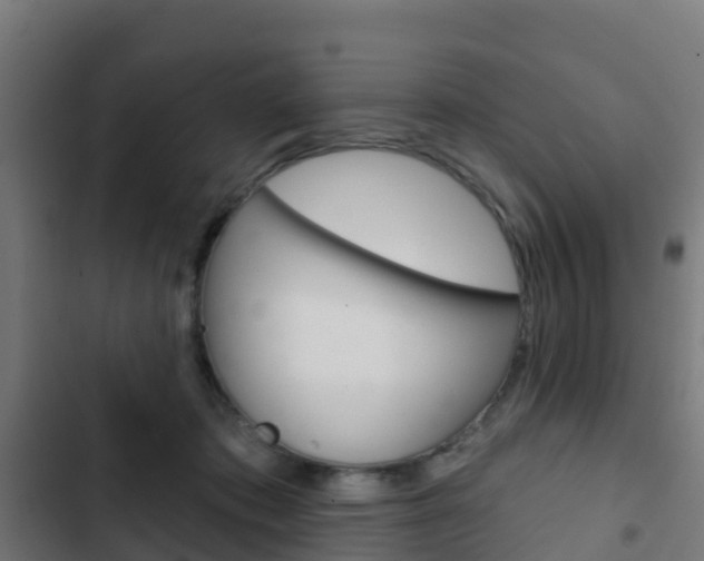 X0000103420413200809121017
