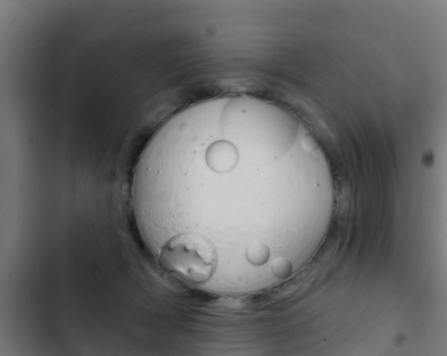 X0000103420418200809121017