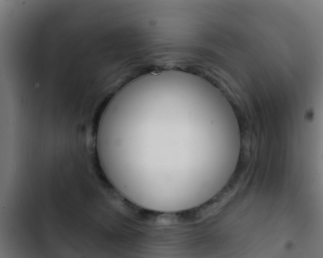 X0000103420420200809121017