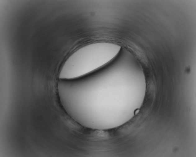 X0000103420421200809121017