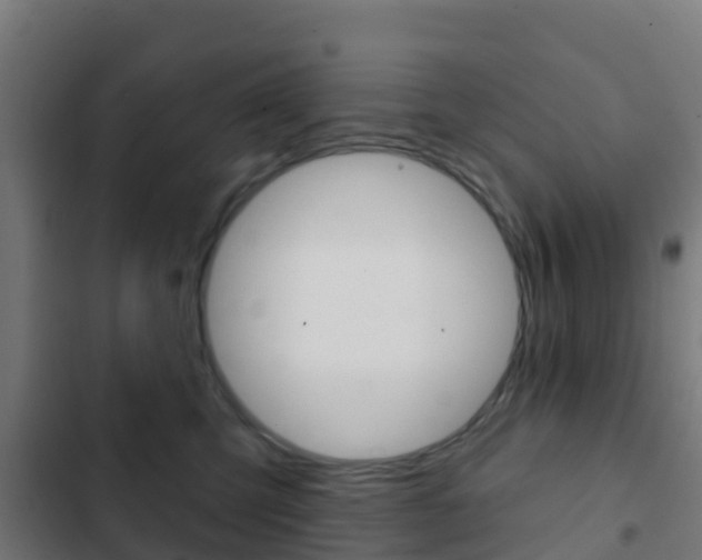 X0000103420423200809121017