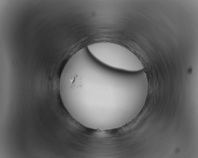X0000103420425200809121017
