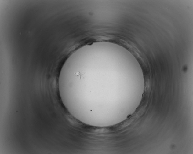 X0000103420426200809121017