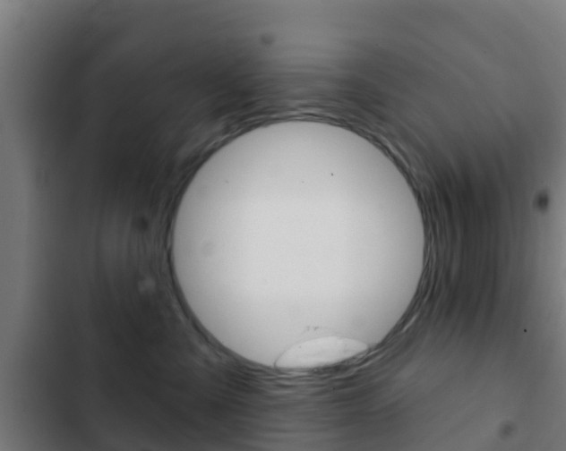 X0000103420427200809121017