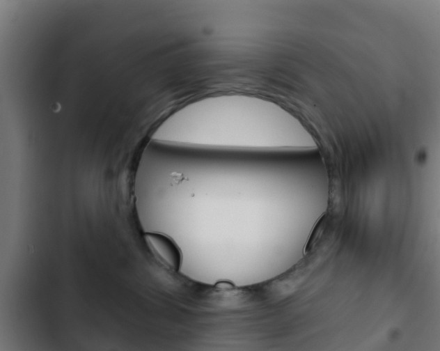 X0000103420428200809121017