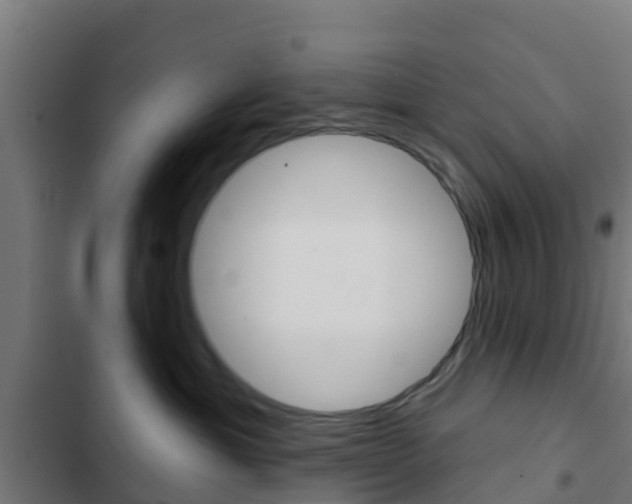 X0000103420429200809121017