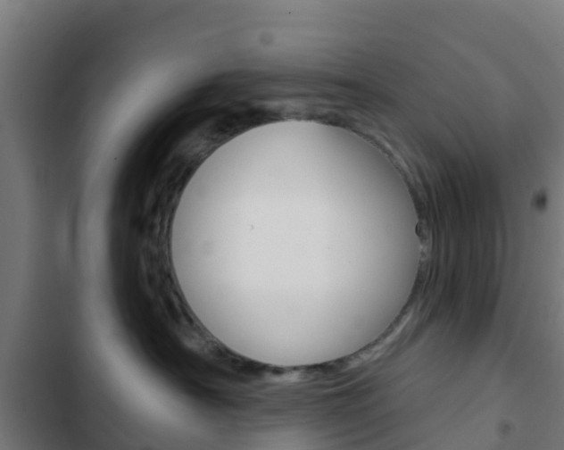 X0000103420430200809121017