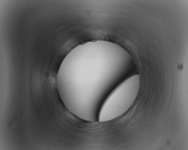 X0000103420432200809121017