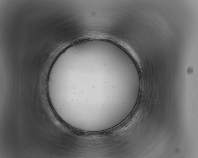 X0000103420433200809121016