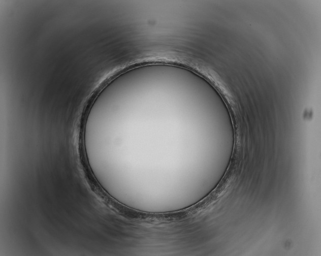 X0000103420434200809121016