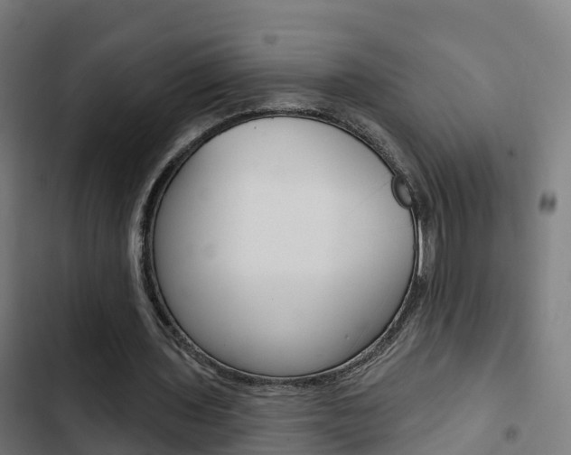 X0000103420435200809121016