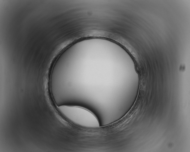 X0000103420437200809121016