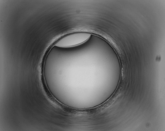 X0000103420438200809121016