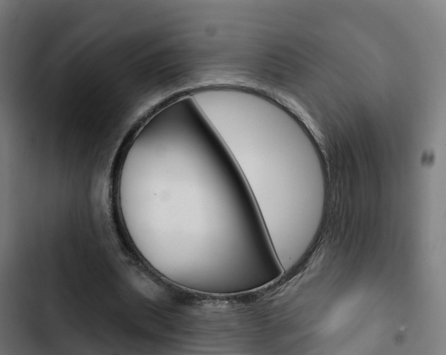 X0000103420439200809121016