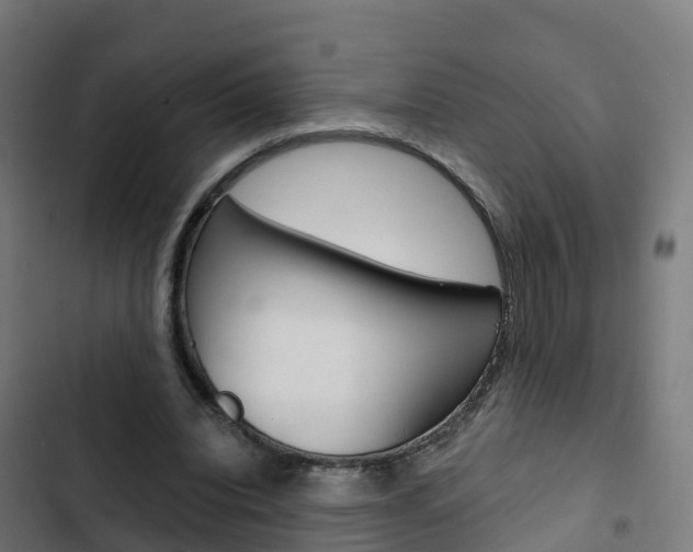 X0000103420440200809121016