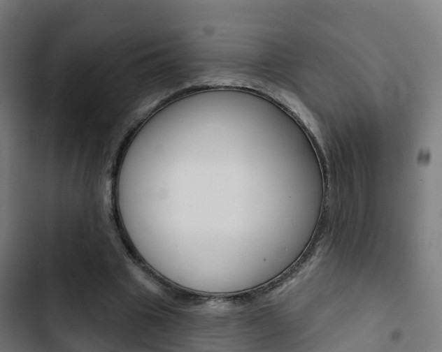 X0000103420441200809121016