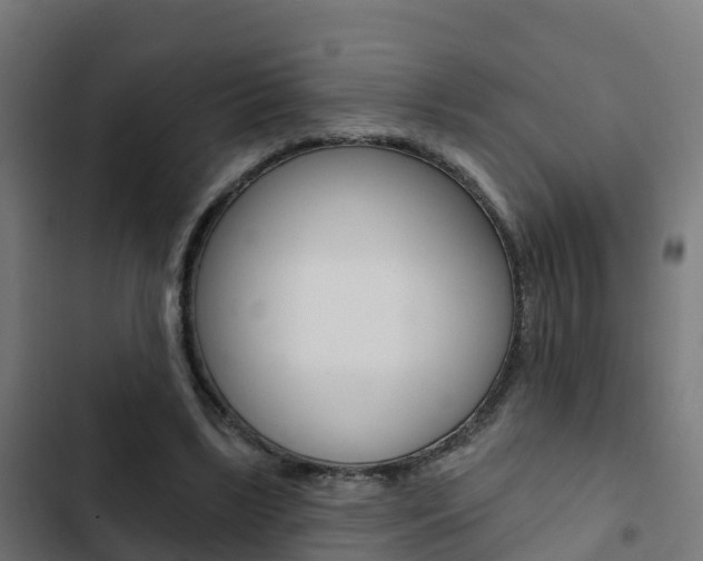 X0000103420443200809121016