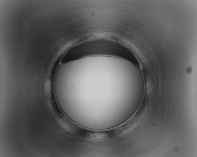 X0000103420444200809121016