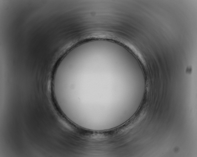X0000103420445200809121016