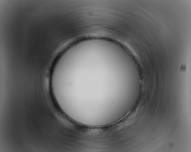 X0000103420446200809121016