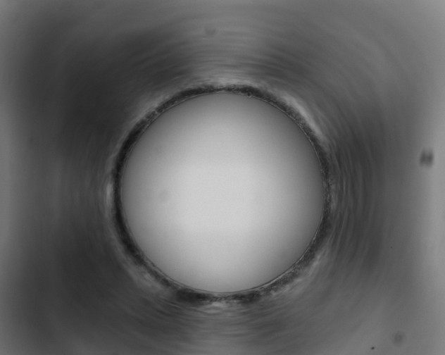 X0000103420447200809121016