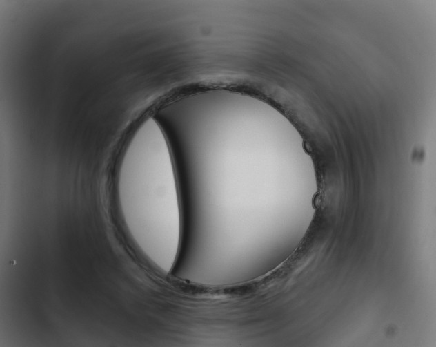 X0000103420448200809121016