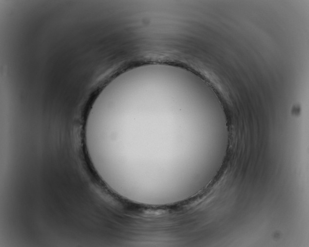 X0000103420450200809121016