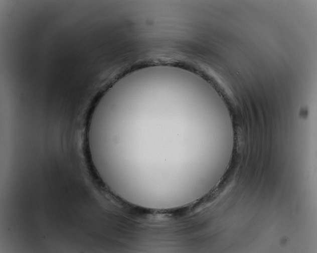 X0000103420451200809121016