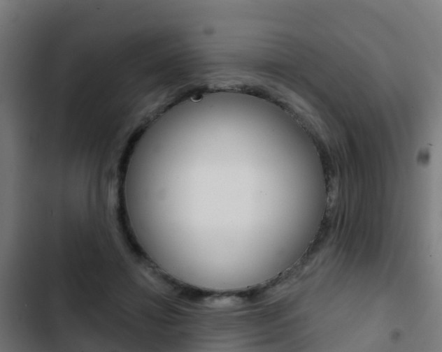 X0000103420452200809121016