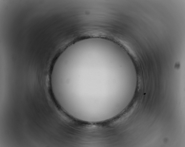 X0000103420453200809121016