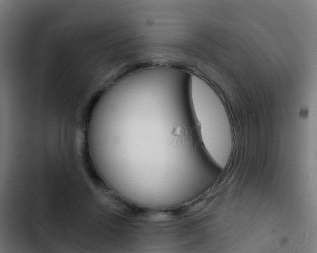 X0000103420456200809121016