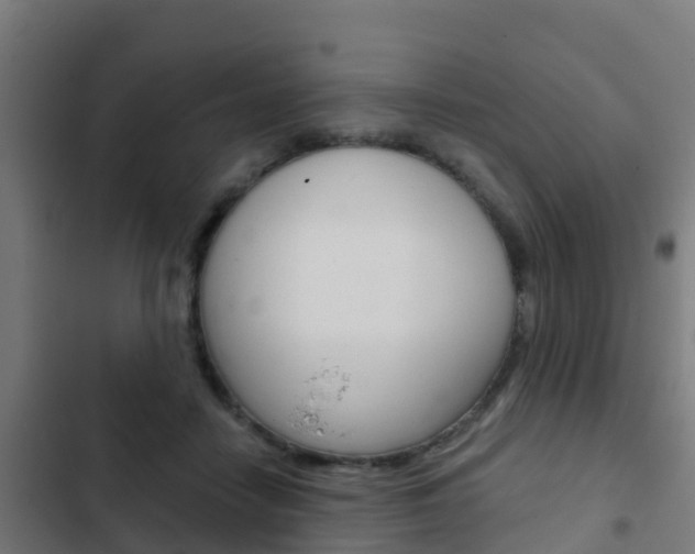 X0000103420458200809121016