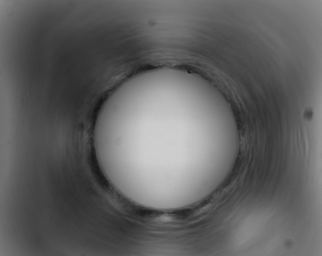 X0000103420460200809121016