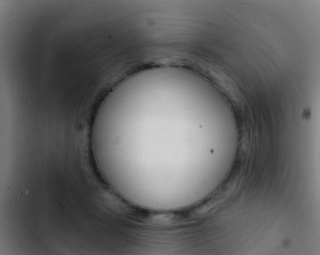 X0000103420461200809121016