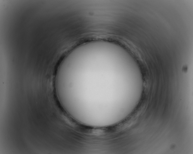X0000103420462200809121016