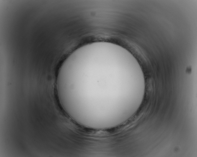 X0000103420463200809121016