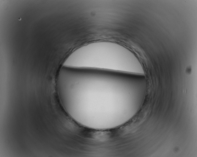 X0000103420465200809121016