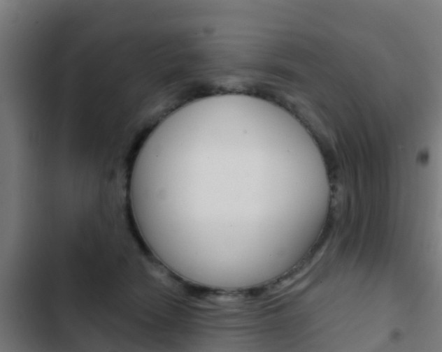 X0000103420466200809121016