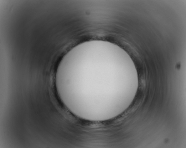 X0000103420468200809121016