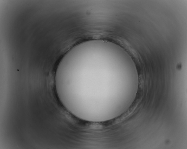 X0000103420471200809121016