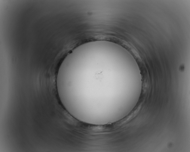X0000103420473200809121016