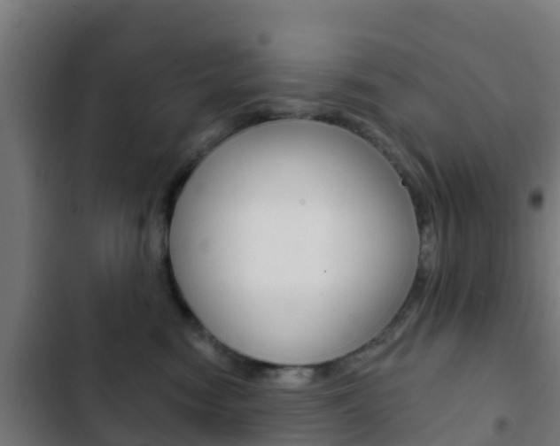 X0000103420474200809121017