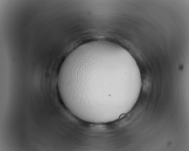 X0000103420476200809121017