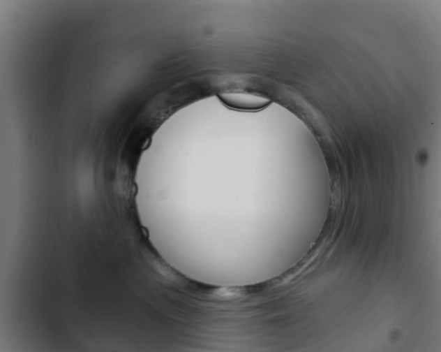 X0000103420477200809121017