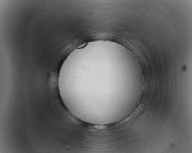 X0000103420478200809121017