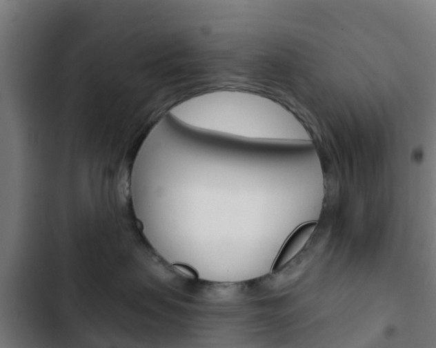 X0000103420479200809121017